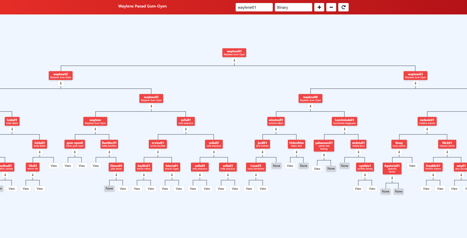 Genealogy Structure